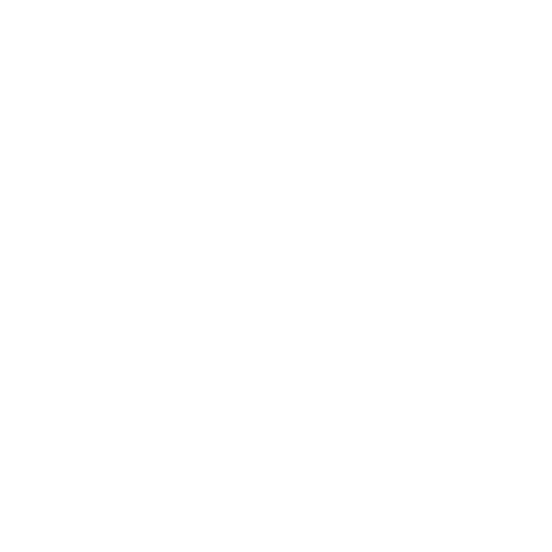 Inspection Icon
