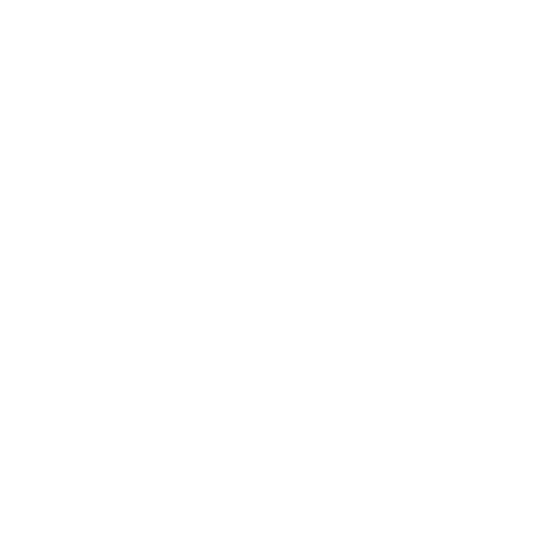 Special Project Icon