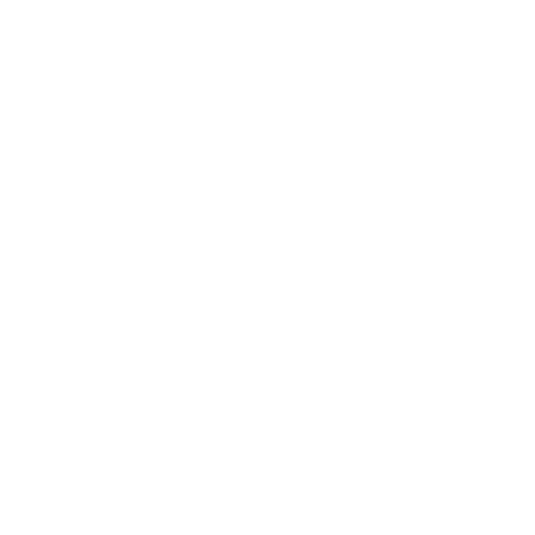 Repair Icon
