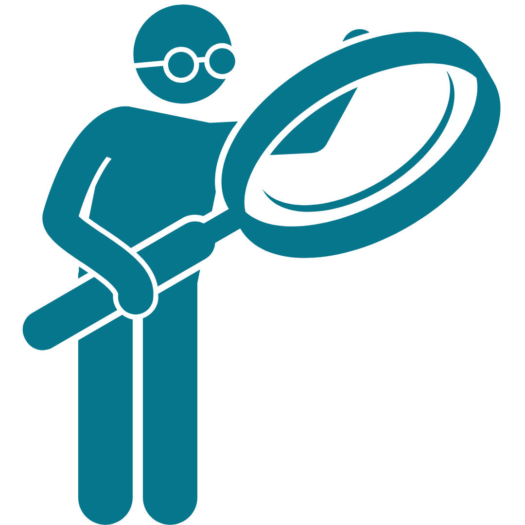Inspection Icon