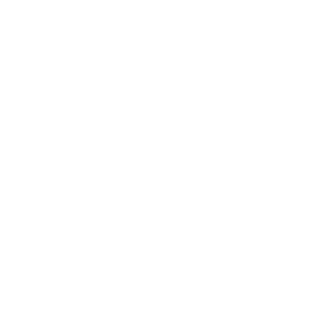 Partnership Icon