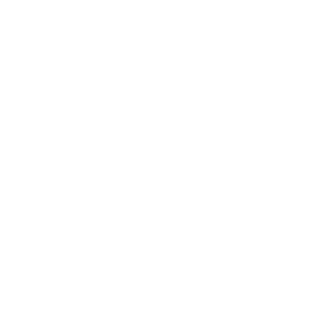 Solution Provider Icon